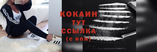 гашик Зеленокумск