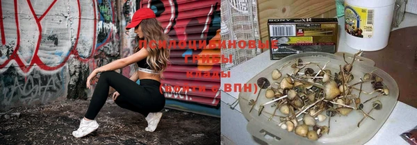 Альфа ПВП Каменногорск