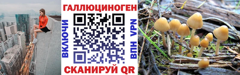 сколько стоит  Коряжма  Псилоцибиновые грибы прущие грибы 