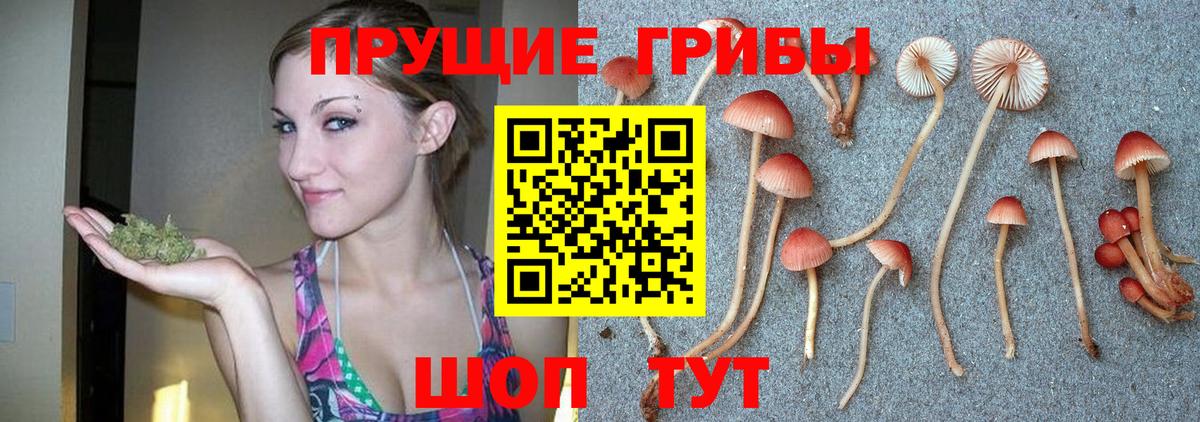 Галлюциногенные грибы Cubensis  Вход с VPN  Коряжма  Псилоцибиновые грибы мицелий 