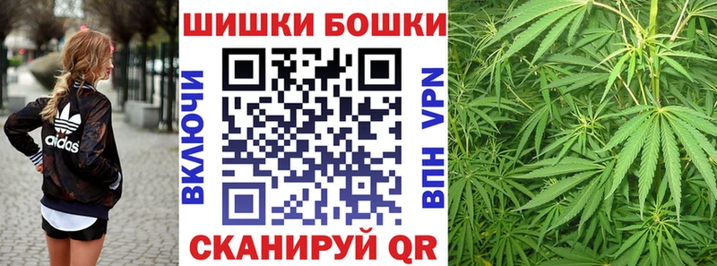 Марихуана семена  магазин продажи наркотиков  Коряжма 