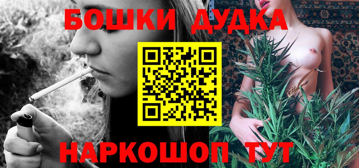 Бошки Шишки планчик Коряжма